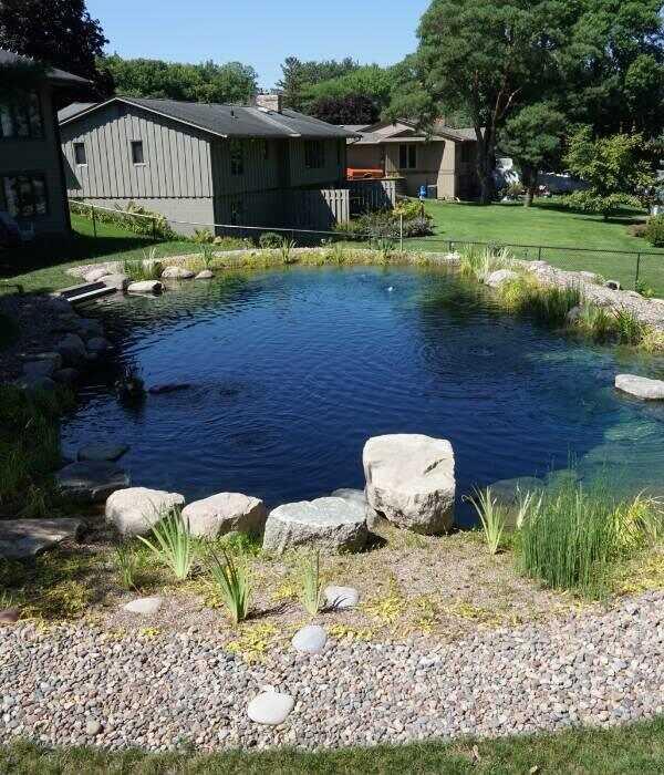 Natural pool — pond style integration